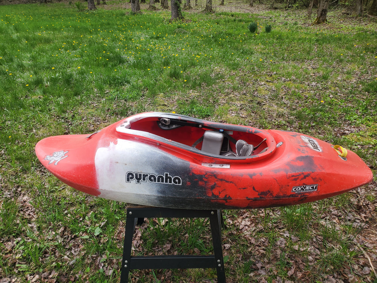 Large Pyranha Jed - Used