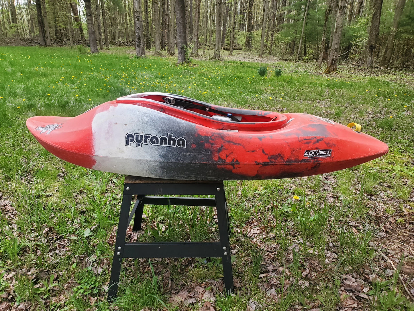 Large Pyranha Jed - Used