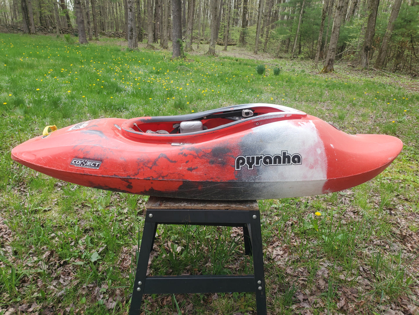 Large Pyranha Jed - Used