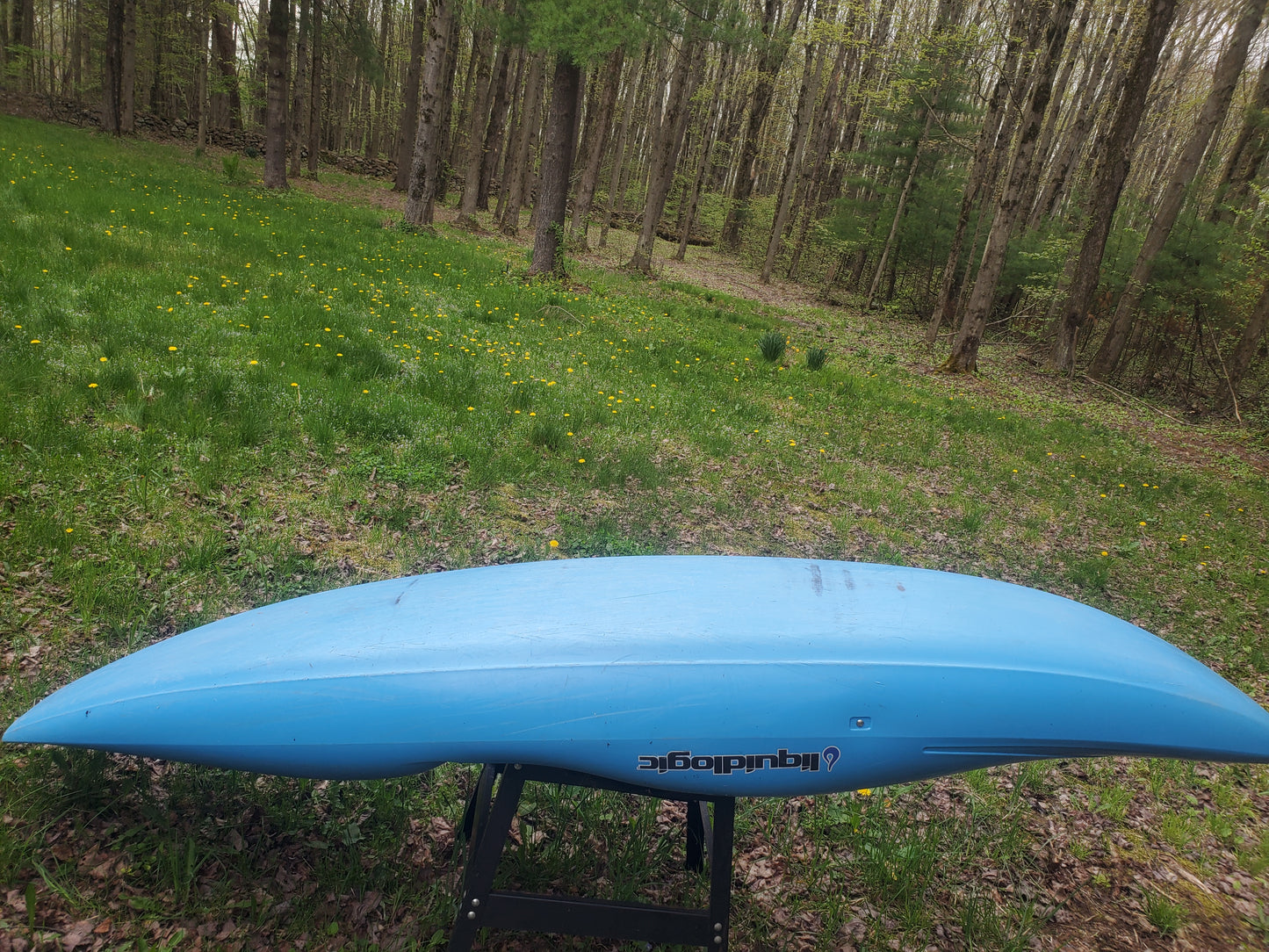 Liquidlogic RMX 86 - Used