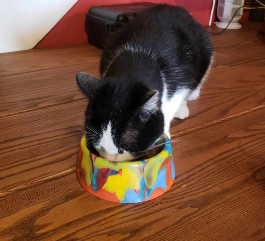 Small Cat/Dog Bowls